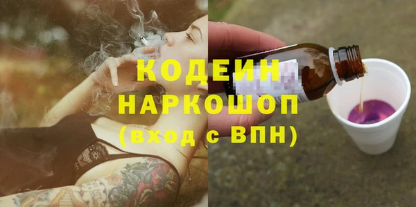 прущий лед Алзамай