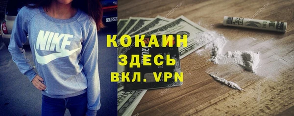 прущий лед Алзамай