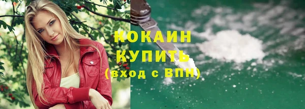 прущий лед Алзамай